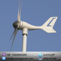300W Micro générateur de turbine de vent 12V / 24V DC 5 lames en nylon, installation marine de bricolage d&#39;agriculture résidentielle hors énergie verte de grille